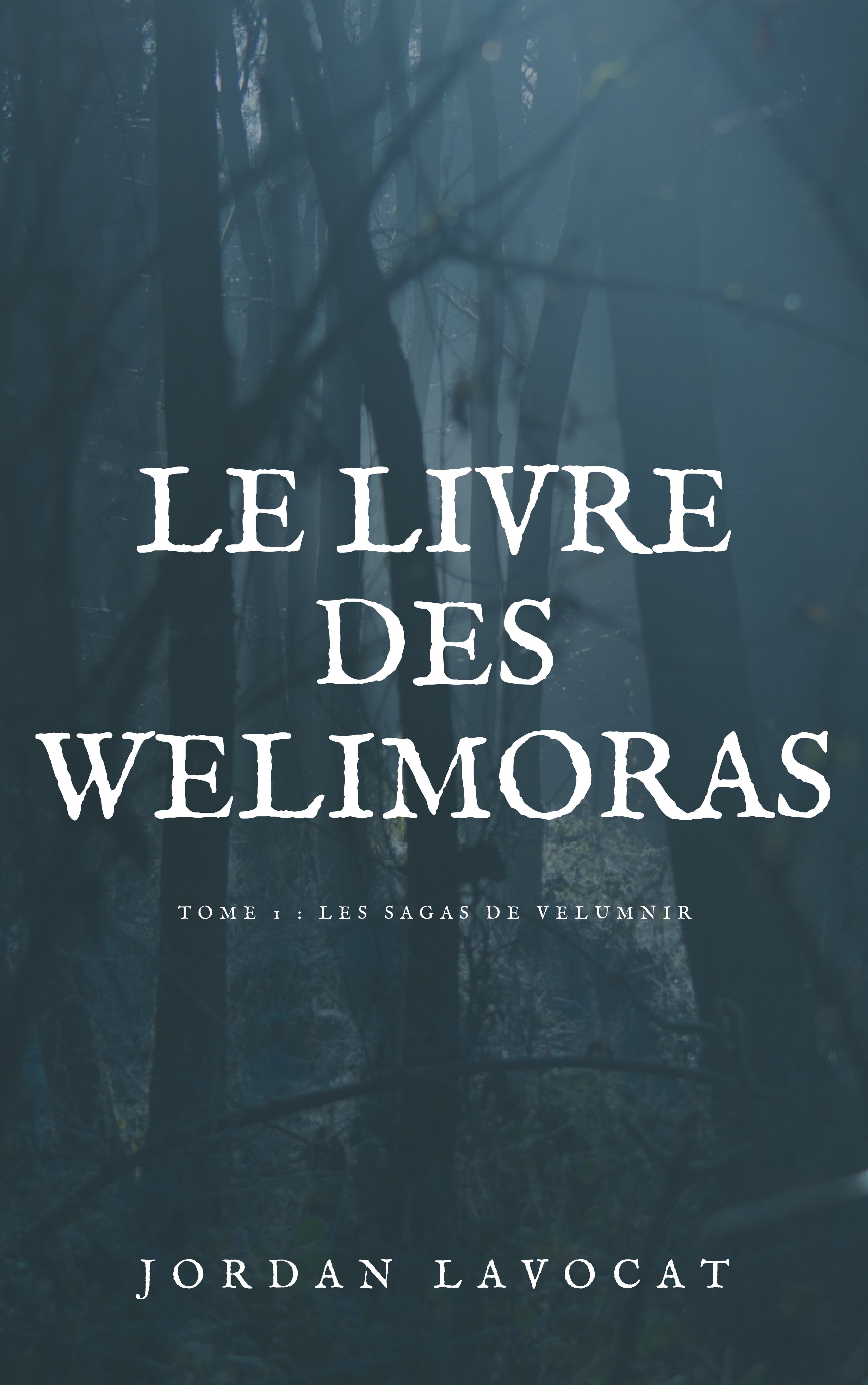 Couverture de Le Livre des Welimoras